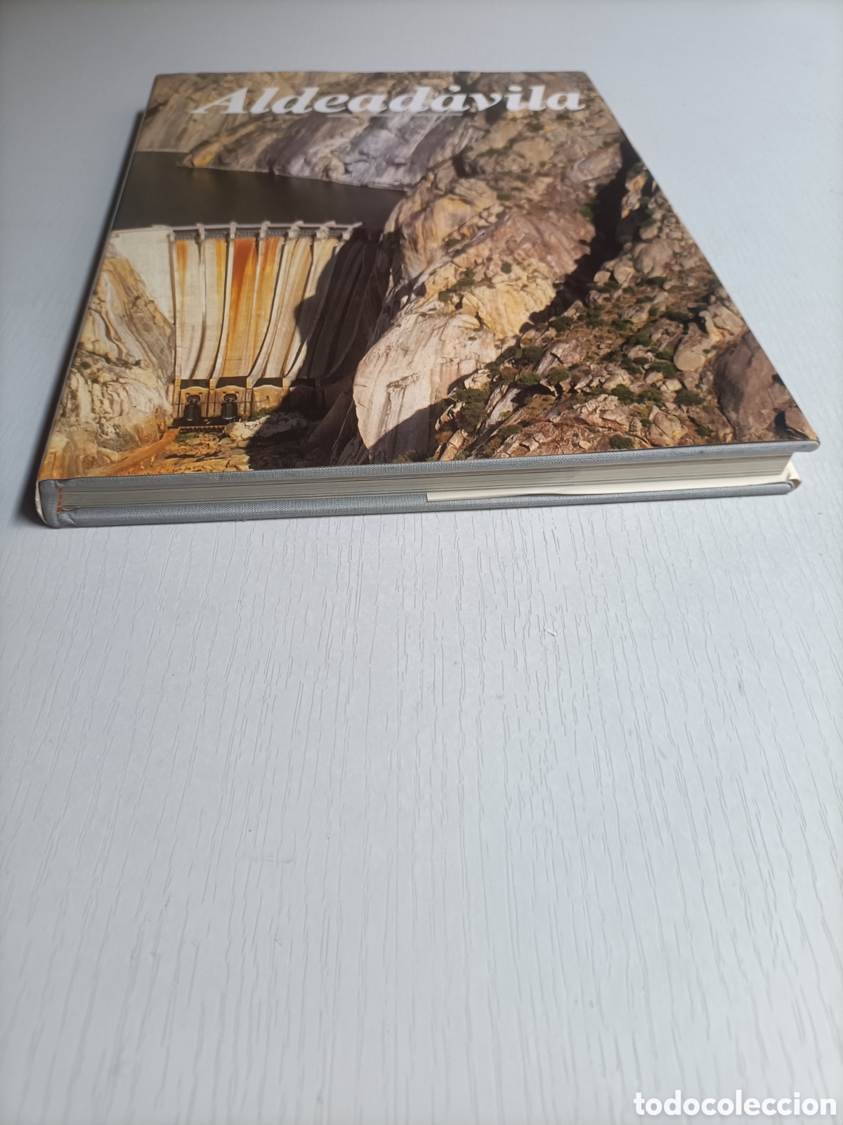 Libros de segunda mano de ciencias: Aldead&aacute;vila. Iberduero 1987 - Foto 5