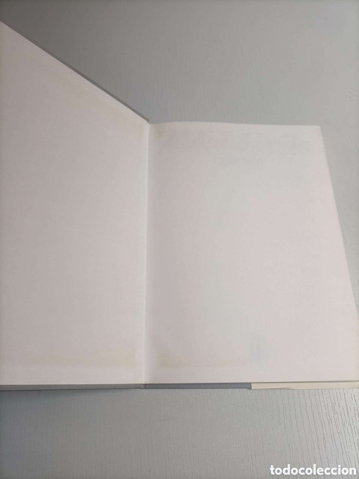 Libros de segunda mano de ciencias: Aldead&aacute;vila. Iberduero 1987 - Foto 9