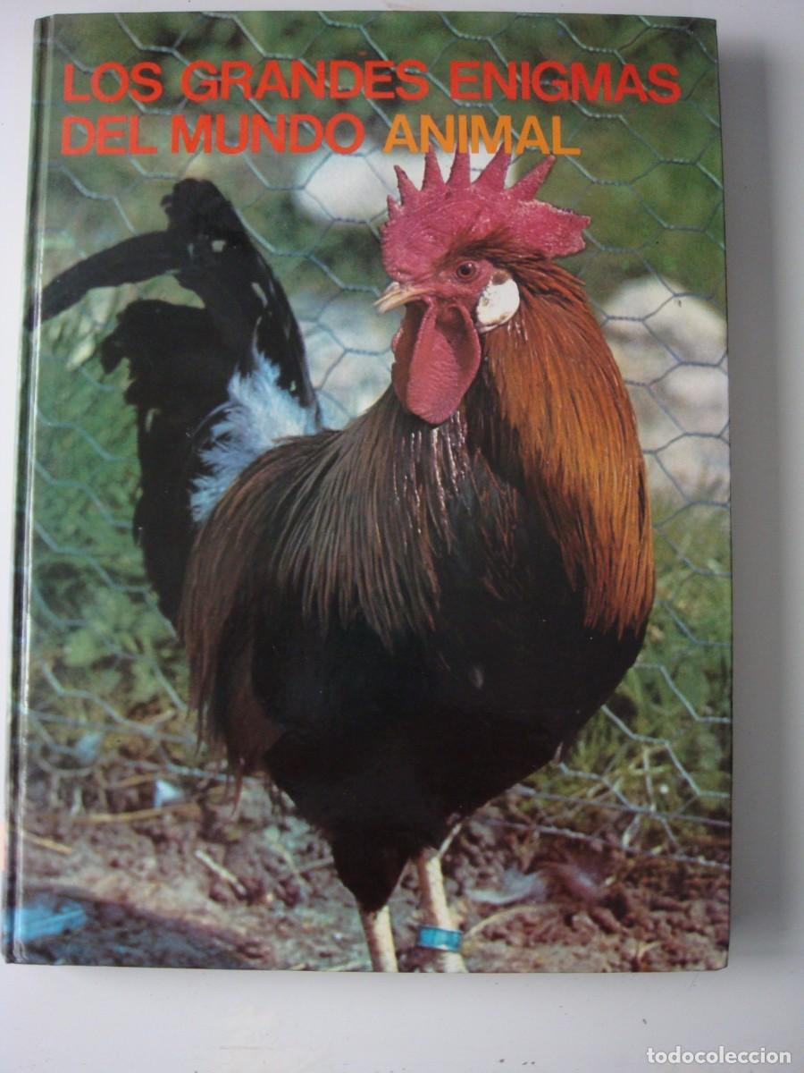 Libri di seconda mano: LOS GRANDES ENMIGMAS DEL MUNDO ANIMAL