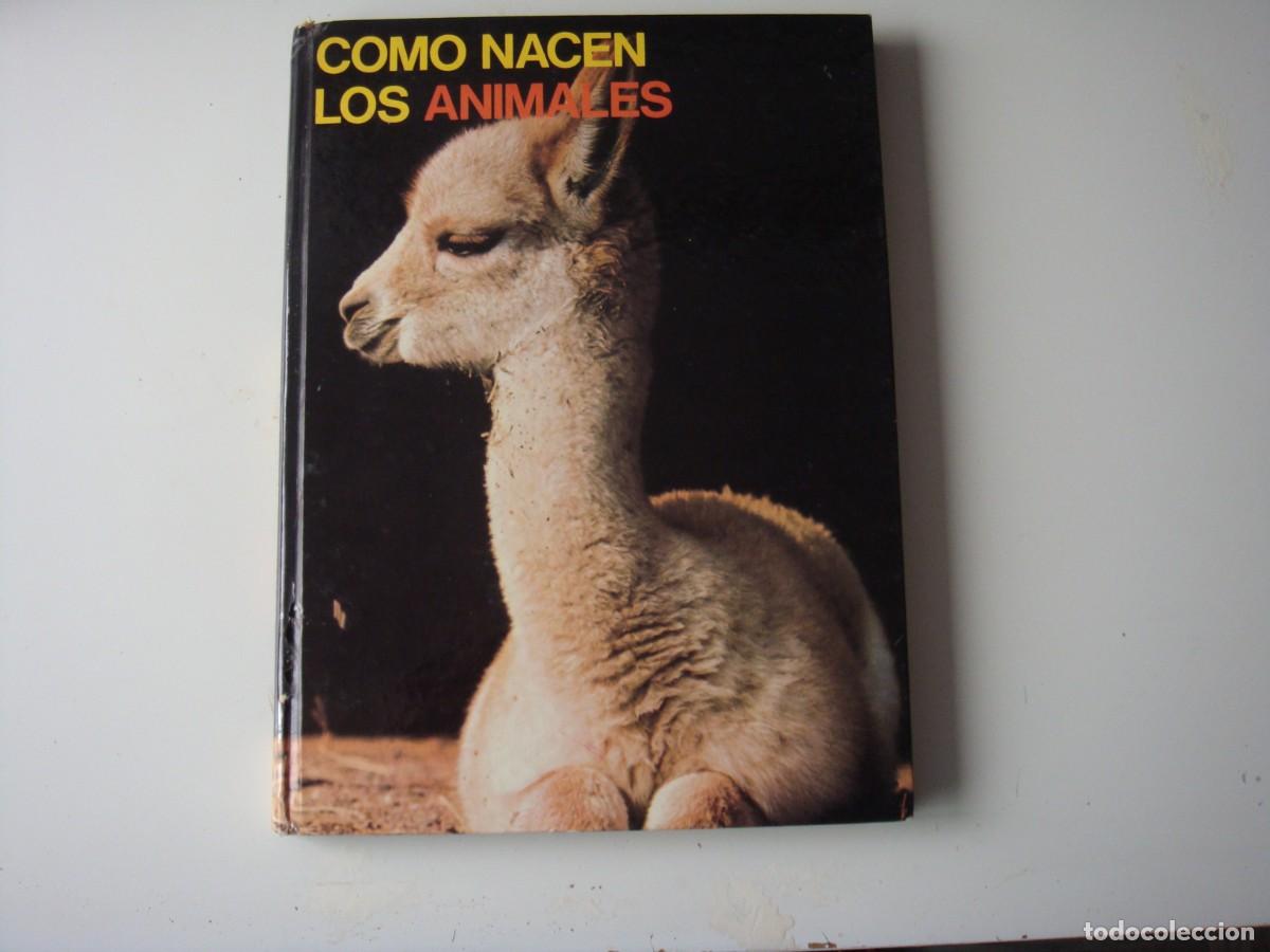 Libri di seconda mano: LOS GRANDES ENMIGMAS DEL MUNDO ANIMAL