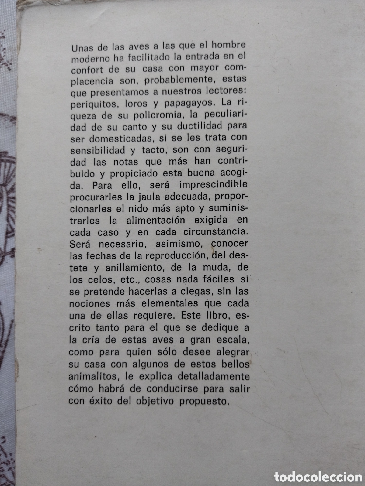 Libros de segunda mano: Periquitos, loros y papagayos / Mis Canarios - Foto 2