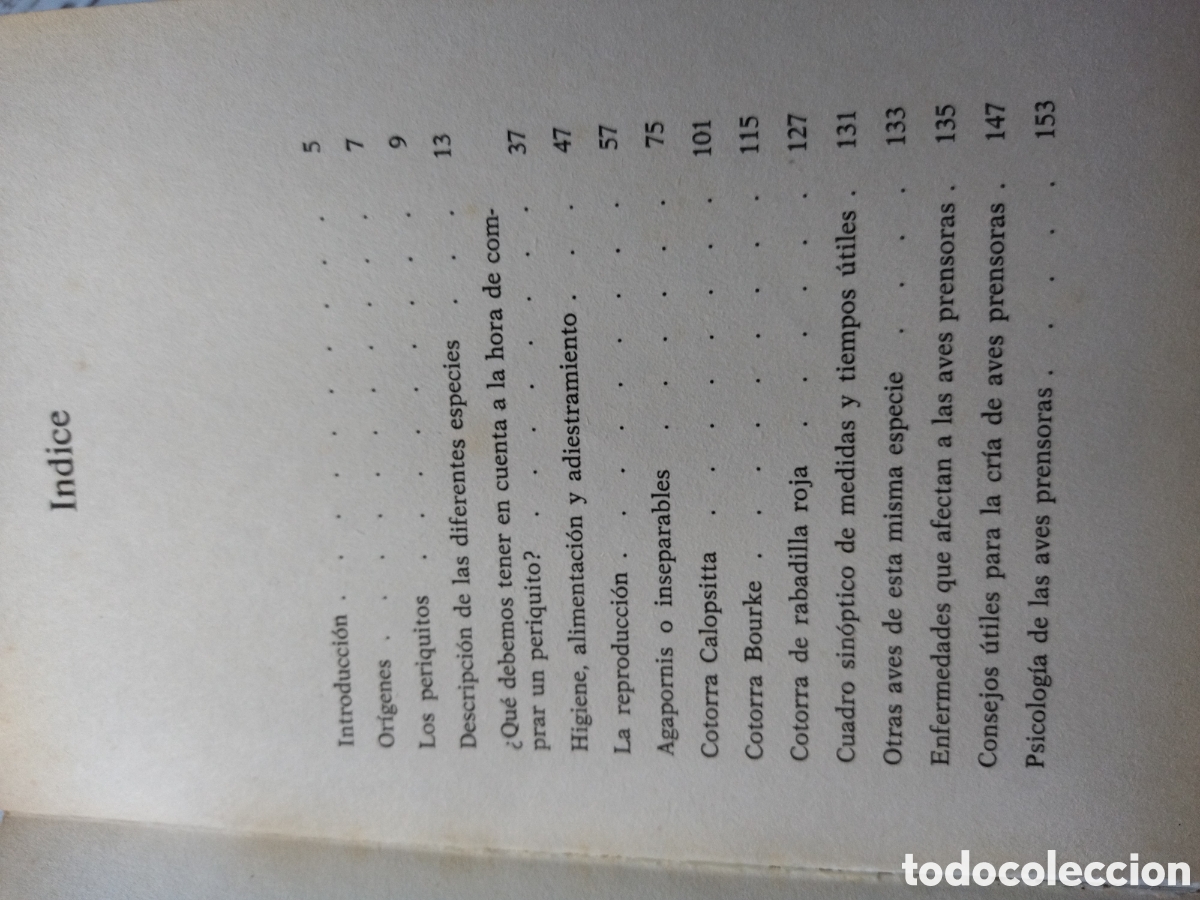 Libros de segunda mano: Periquitos, loros y papagayos / Mis Canarios - Foto 3