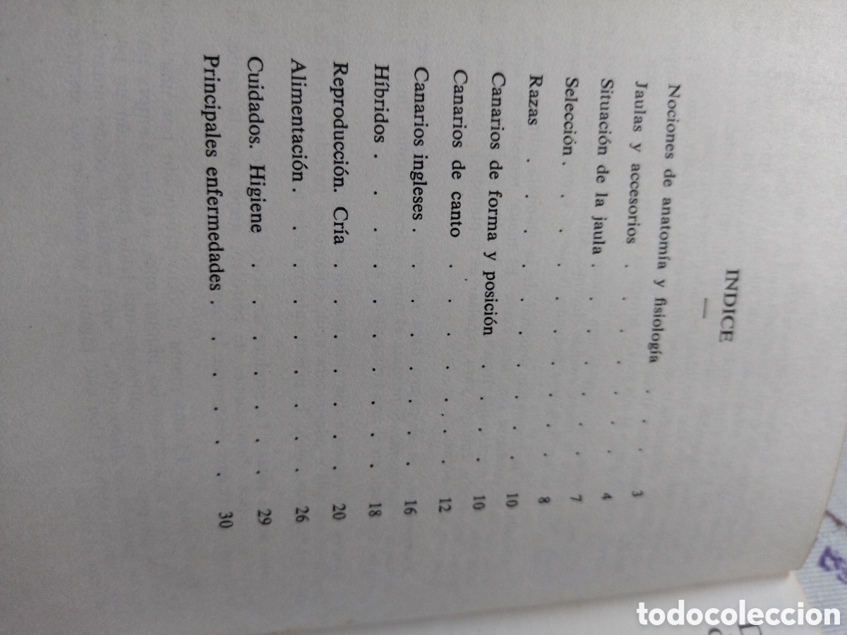 Libros de segunda mano: Periquitos, loros y papagayos / Mis Canarios - Foto 5