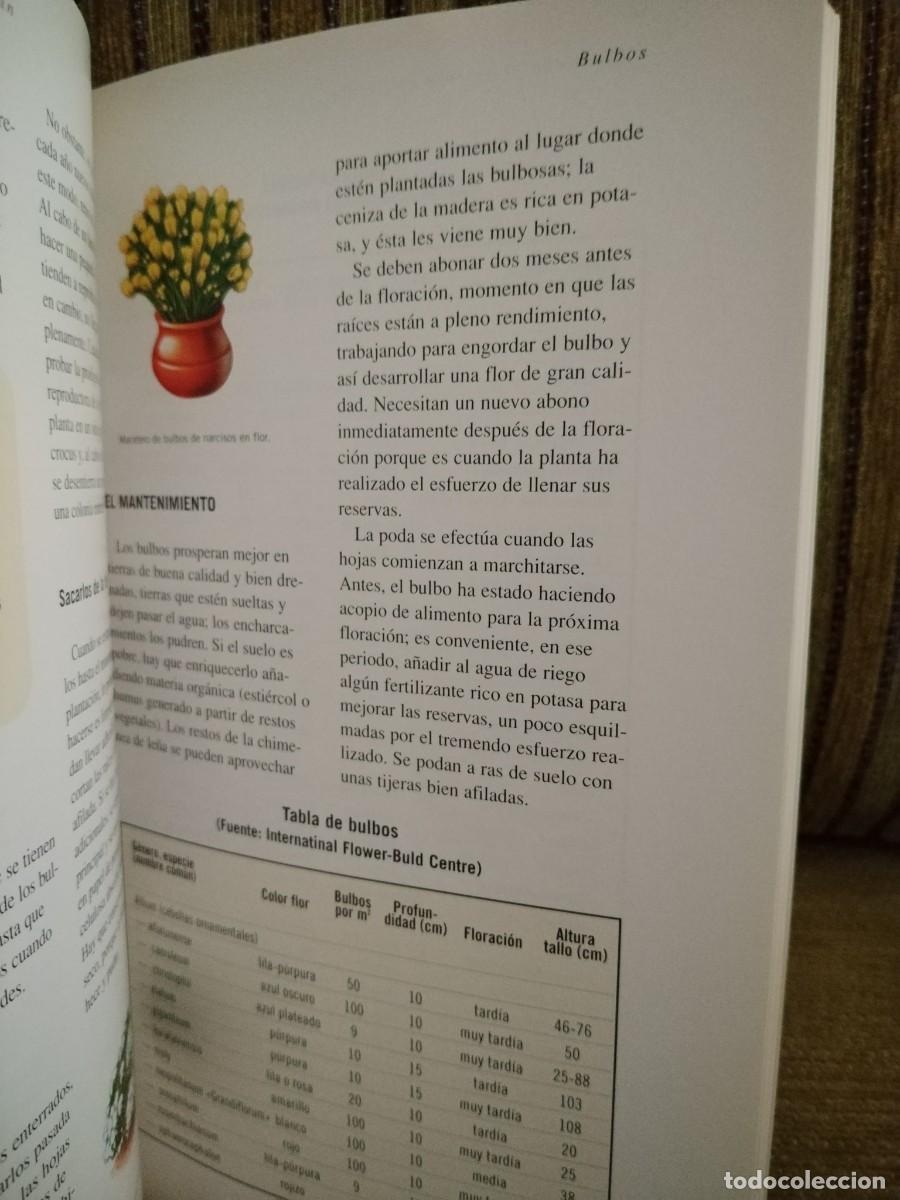 Libros de segunda mano: CREAR Y MANTENER UN JARD&Iacute;N EN LA PEN&Iacute;NSULA IB&Eacute;RICA - Foto 11
