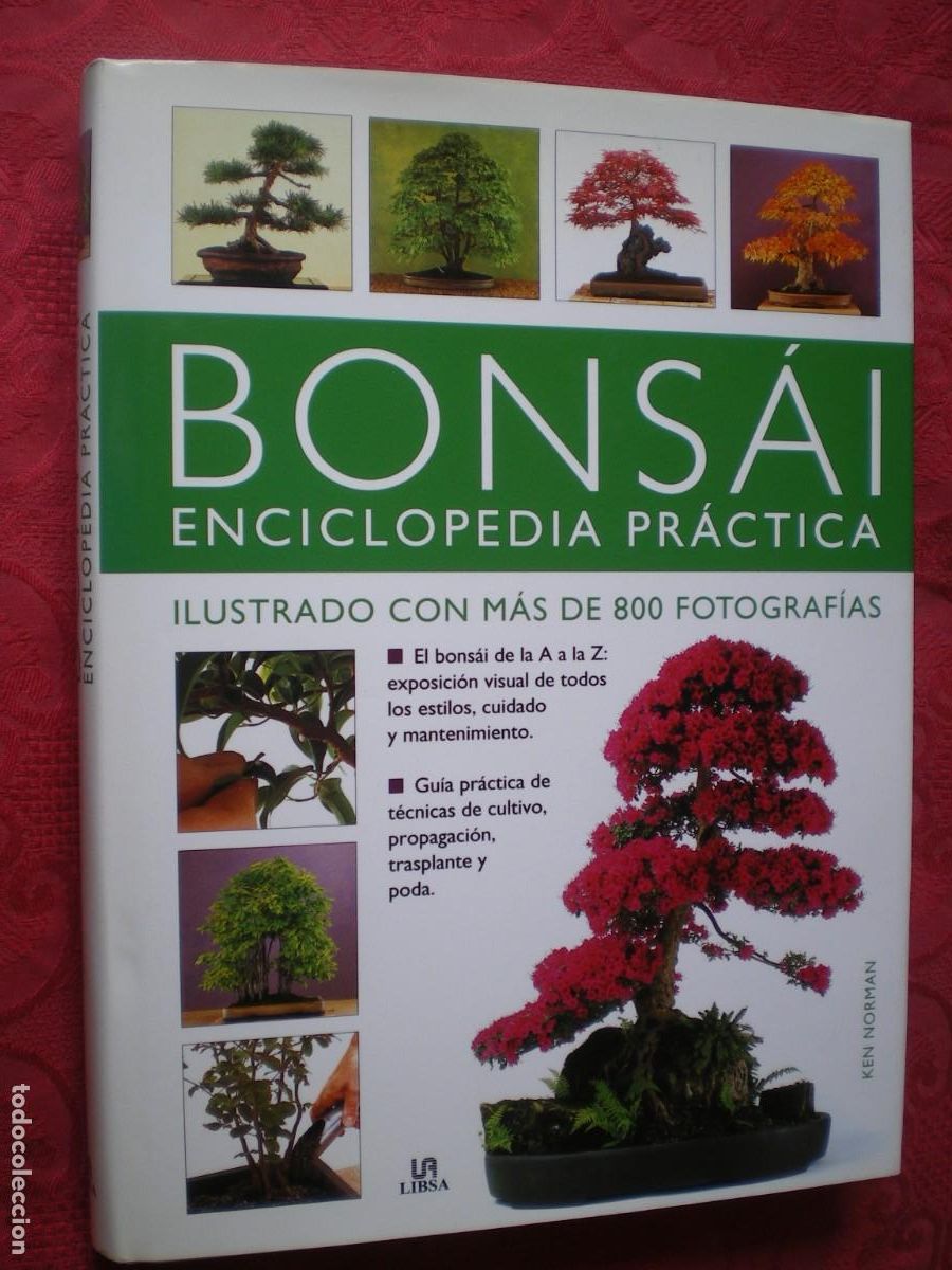 Libros de segunda mano: BONS&Aacute;I ENCICLOPEDIA PR&Aacute;CTICA. KEN NORMAN. LIBSA. NUEVO. - Foto 1
