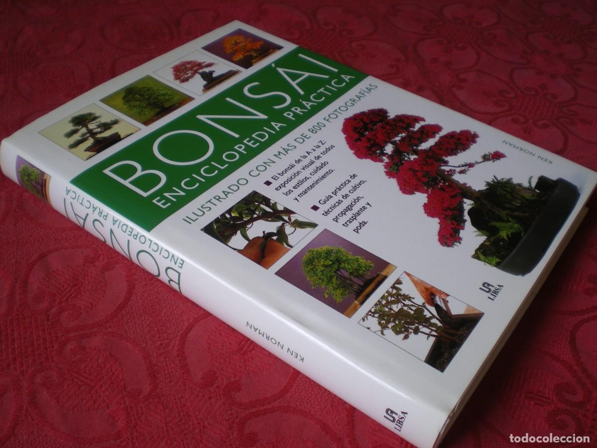 Libros de segunda mano: BONS&Aacute;I ENCICLOPEDIA PR&Aacute;CTICA. KEN NORMAN. LIBSA. NUEVO. - Foto 2