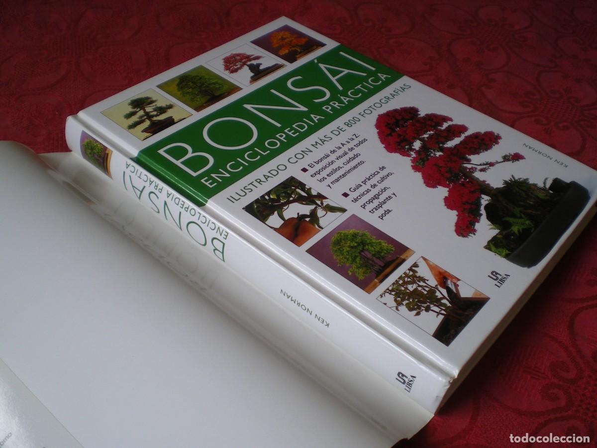 Libros de segunda mano: BONS&Aacute;I ENCICLOPEDIA PR&Aacute;CTICA. KEN NORMAN. LIBSA. NUEVO. - Foto 3