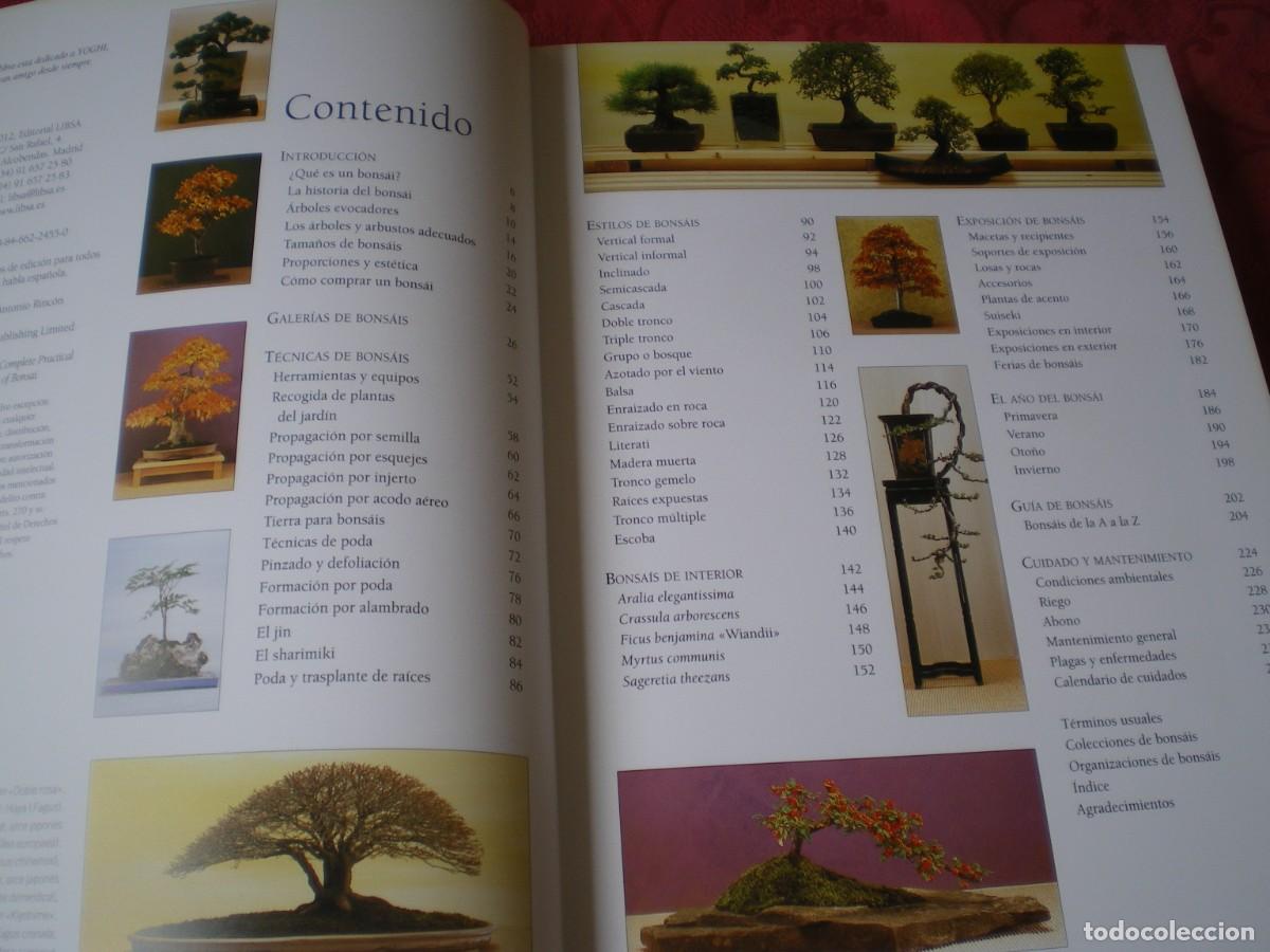 Libros de segunda mano: BONS&Aacute;I ENCICLOPEDIA PR&Aacute;CTICA. KEN NORMAN. LIBSA. NUEVO. - Foto 4