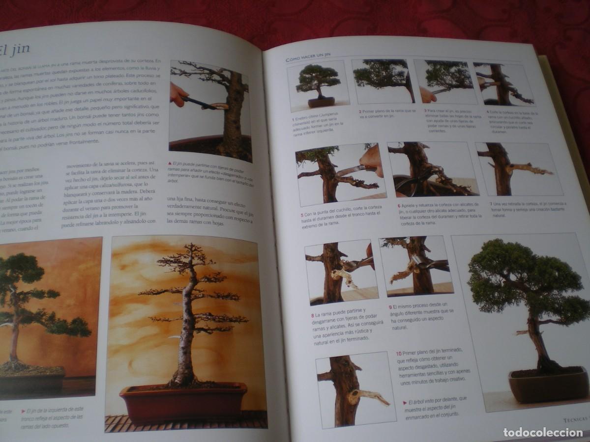 Libros de segunda mano: BONS&Aacute;I ENCICLOPEDIA PR&Aacute;CTICA. KEN NORMAN. LIBSA. NUEVO. - Foto 5