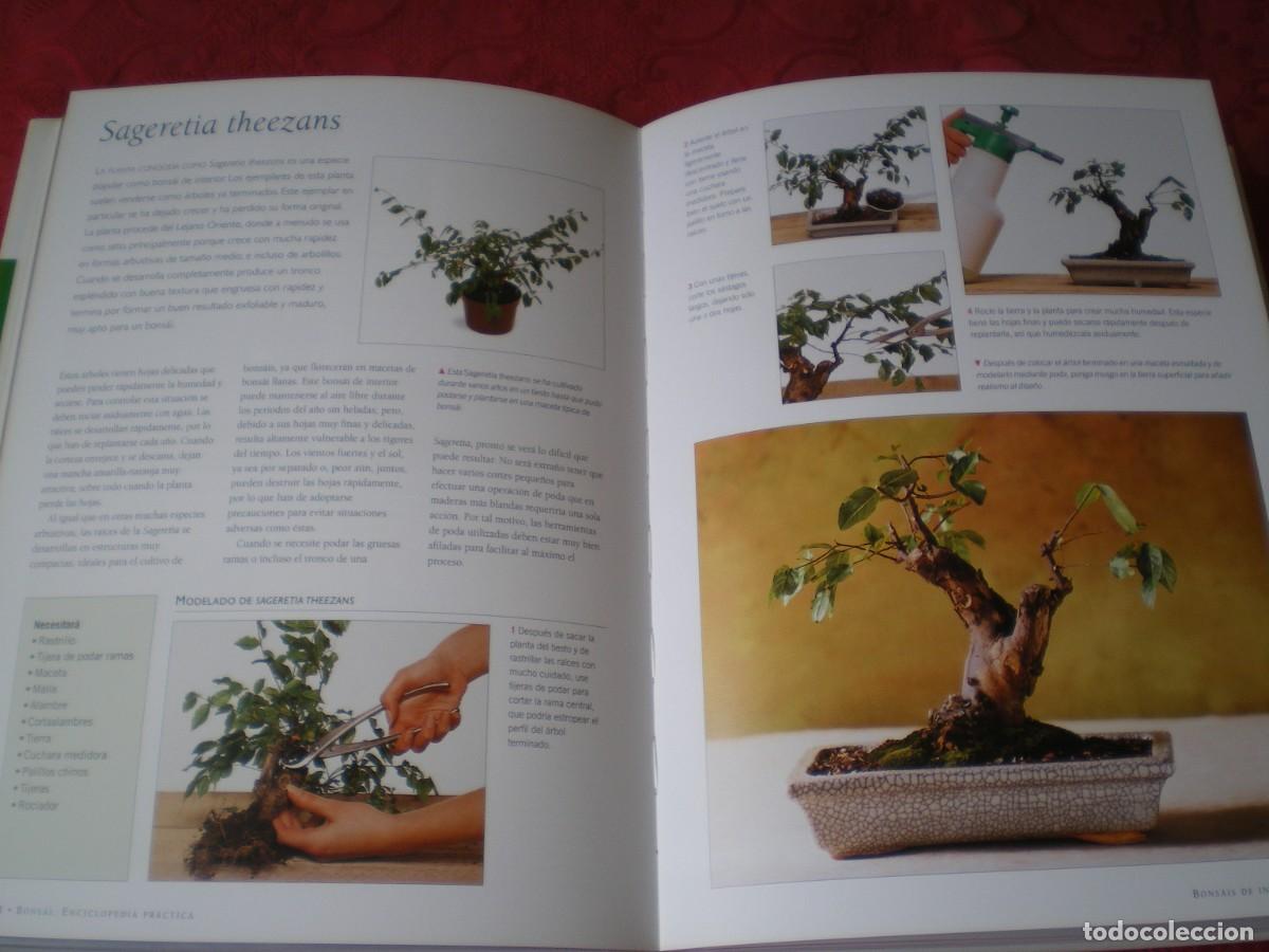 Libros de segunda mano: BONS&Aacute;I ENCICLOPEDIA PR&Aacute;CTICA. KEN NORMAN. LIBSA. NUEVO. - Foto 7