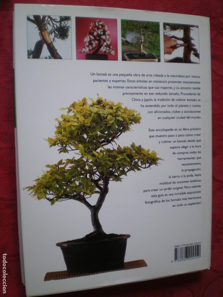 Libros de segunda mano: BONS&Aacute;I ENCICLOPEDIA PR&Aacute;CTICA. KEN NORMAN. LIBSA. NUEVO. - Foto 8