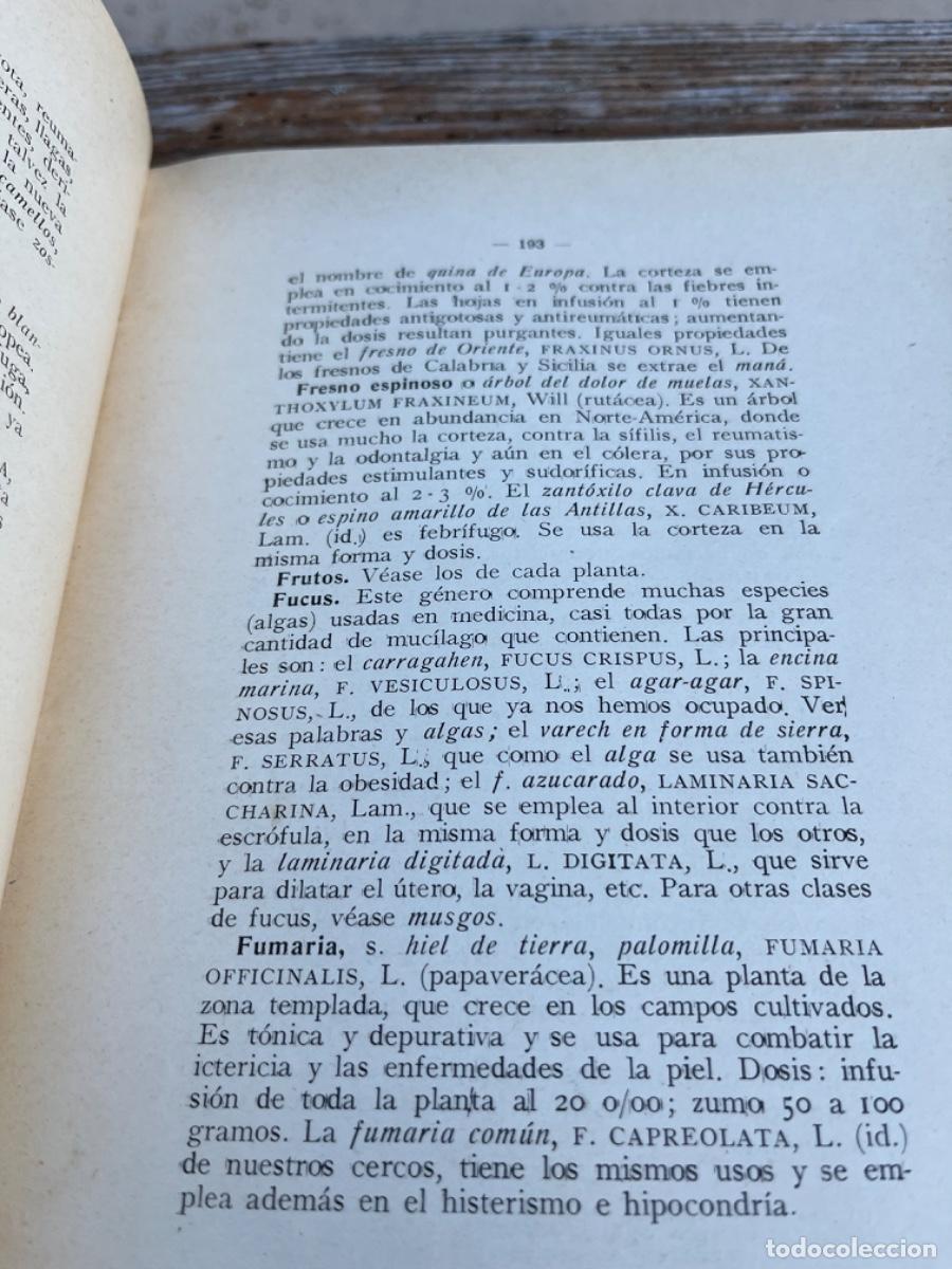 Libros de segunda mano: Plantas Medicinales( extranjeras e indigenas) - Foto 6