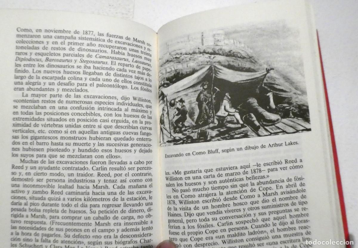 Libros de segunda mano: Libro El Enigma de los Dinosaurios J.N. WILFORD - Foto 3