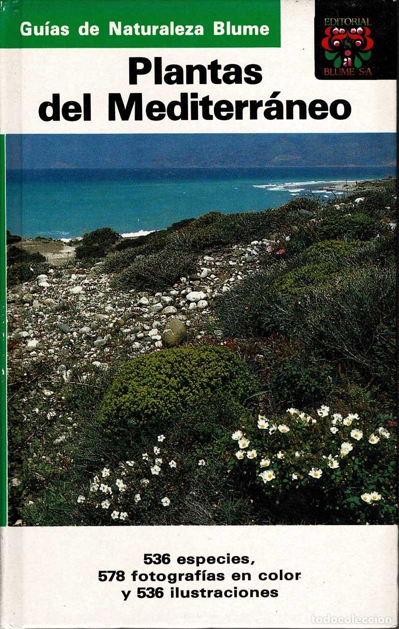 Libri di seconda mano: Plantas del Mediterr&aacute;neo. Gu&iacute;as de Naturaleza Blume - Bayer, Butler, Finkenzeller y Grau
