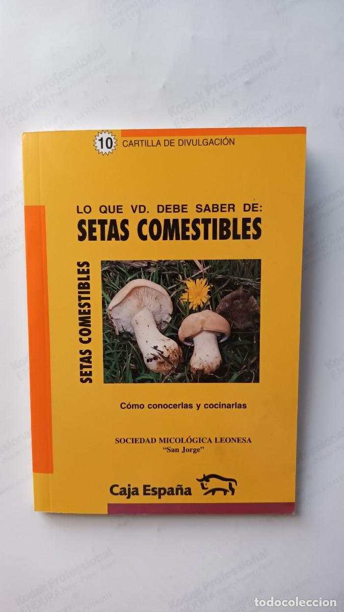 Libros de segunda mano: SETAS COMESTIBLES - COMO CONOCERLAS Y COCINARLAS - Foto 1