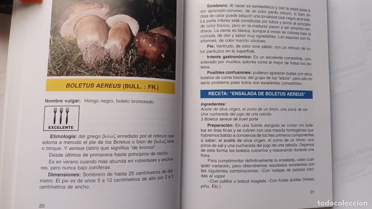 Libros de segunda mano: SETAS COMESTIBLES - COMO CONOCERLAS Y COCINARLAS - Foto 2