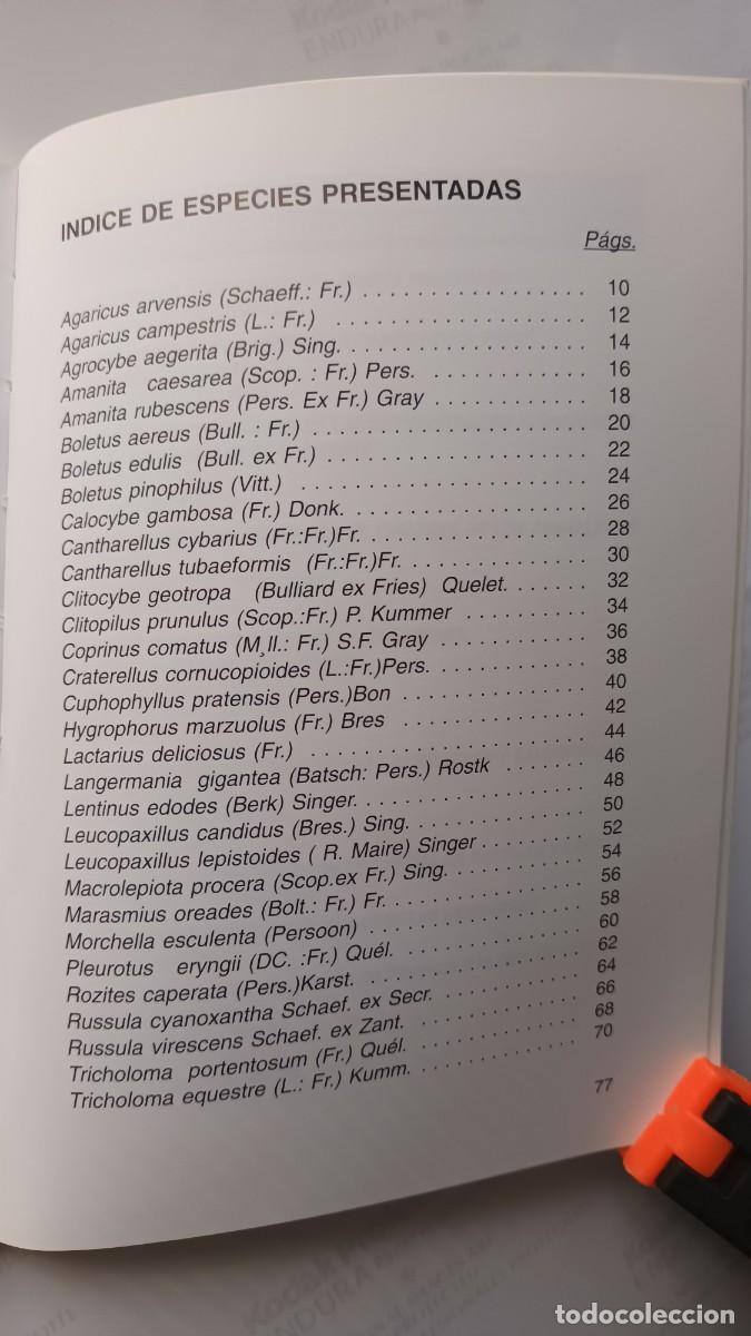 Libros de segunda mano: SETAS COMESTIBLES - COMO CONOCERLAS Y COCINARLAS - Foto 3