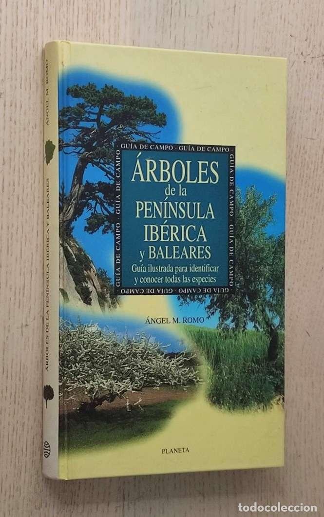 Second hand books: &Aacute;RBOLES DE LA PEN&Iacute;NSULA IB&Eacute;RICA Y BALEARES. Gu&iacute;a de campo - ROMO, &Aacute;ngel M.