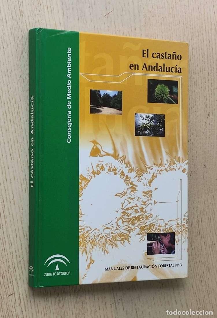 Libros de segunda mano: EL CASTA&Ntilde;O EN ANDALUC&Iacute;A - V.V.A.A. - Foto 1
