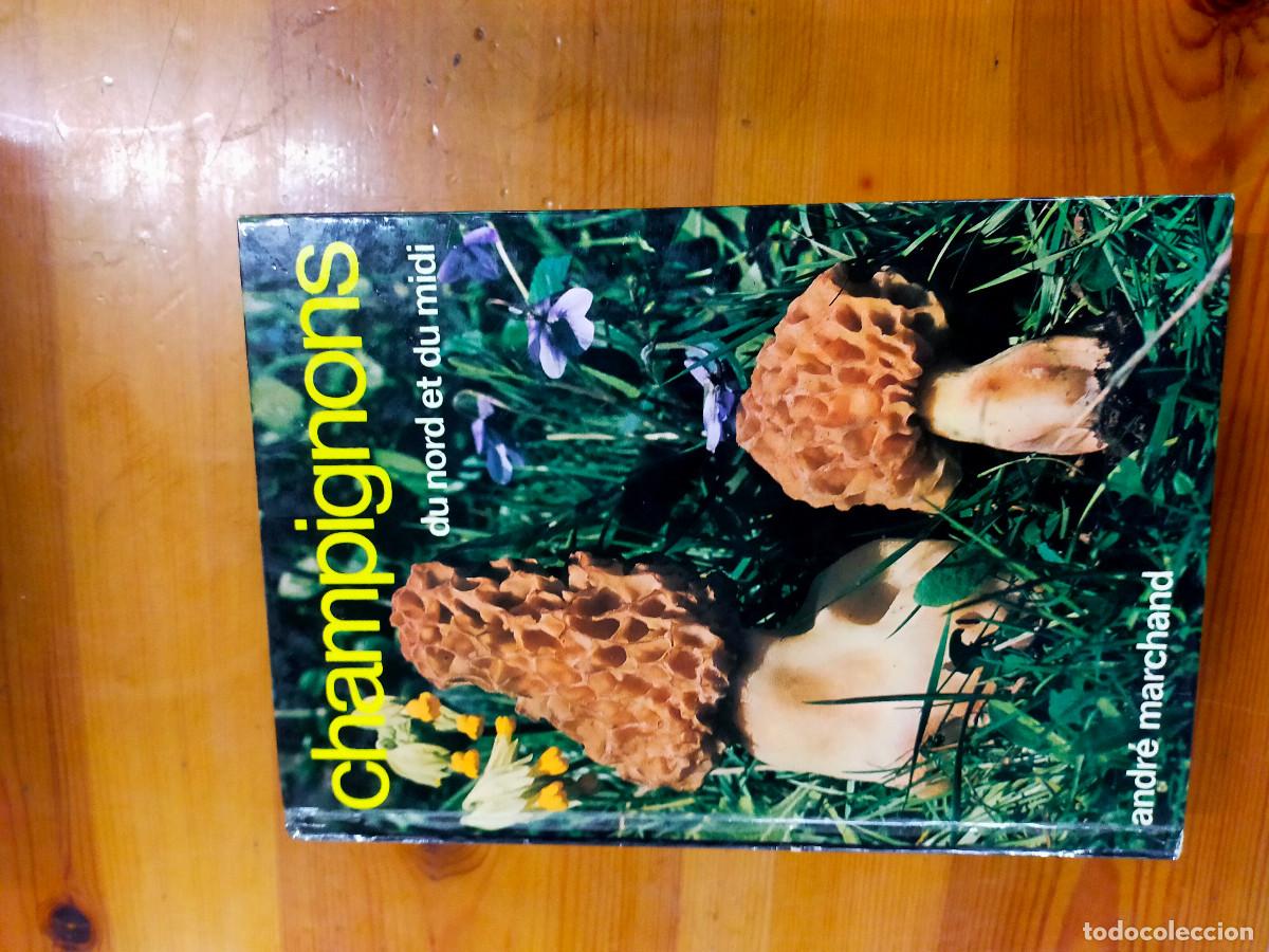 Libros de segunda mano: Champignons - andre marchand - Foto 3