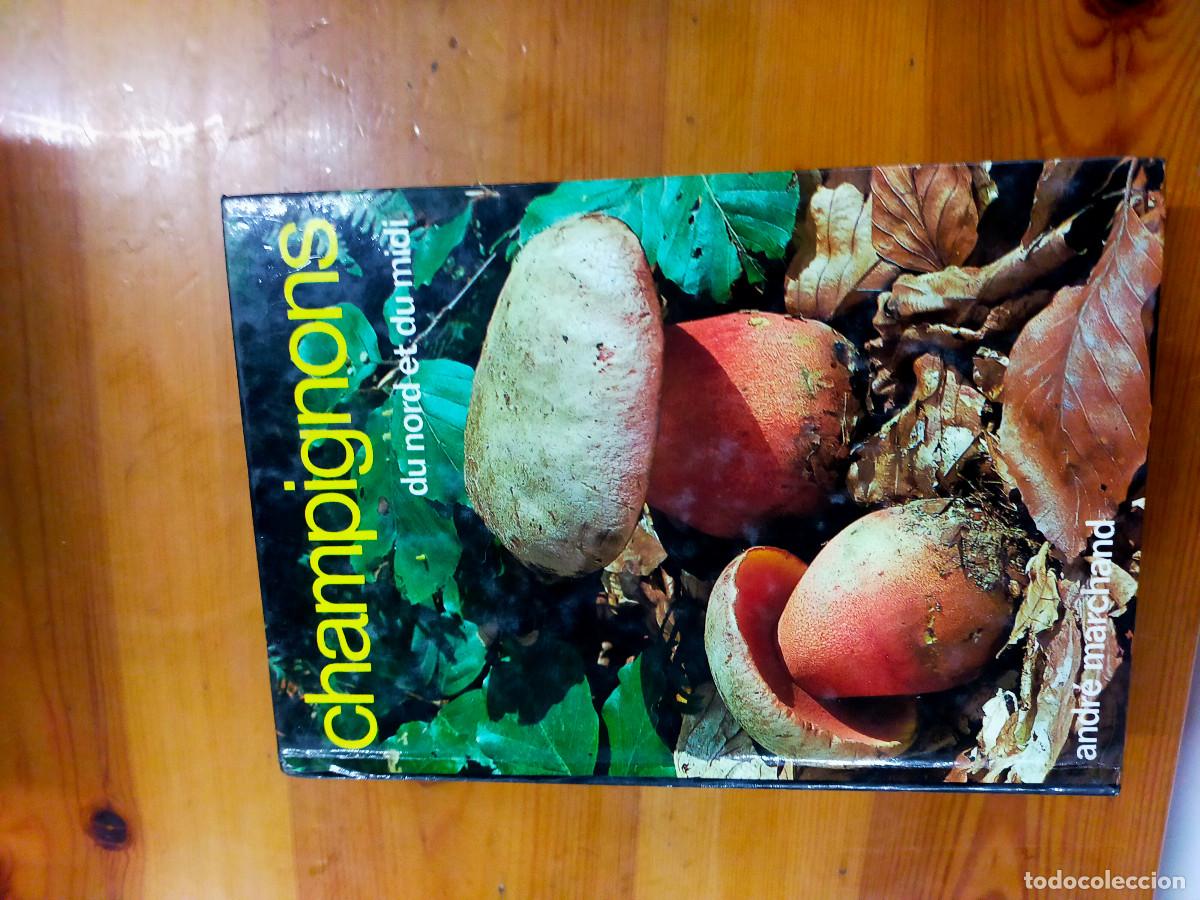 Libros de segunda mano: Champignons - andre marchand - Foto 4