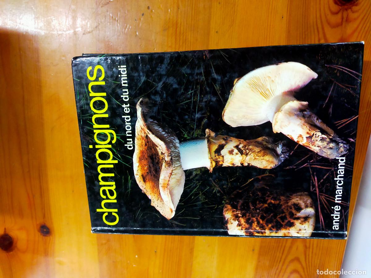 Libros de segunda mano: Champignons - andre marchand - Foto 5