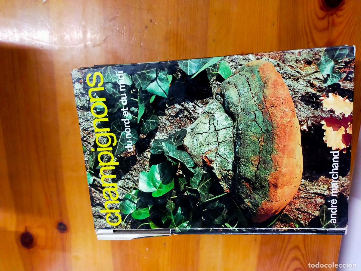 Libros de segunda mano: Champignons - andre marchand - Foto 6