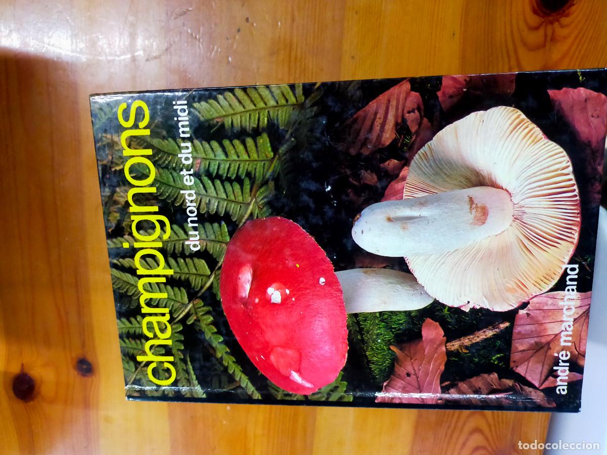 Libros de segunda mano: Champignons - andre marchand - Foto 7