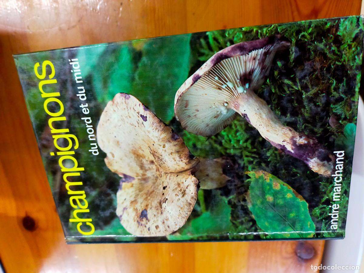 Libros de segunda mano: Champignons - andre marchand - Foto 8