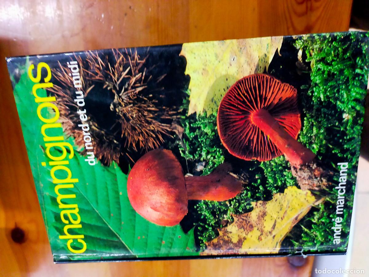 Libros de segunda mano: Champignons - andre marchand - Foto 9