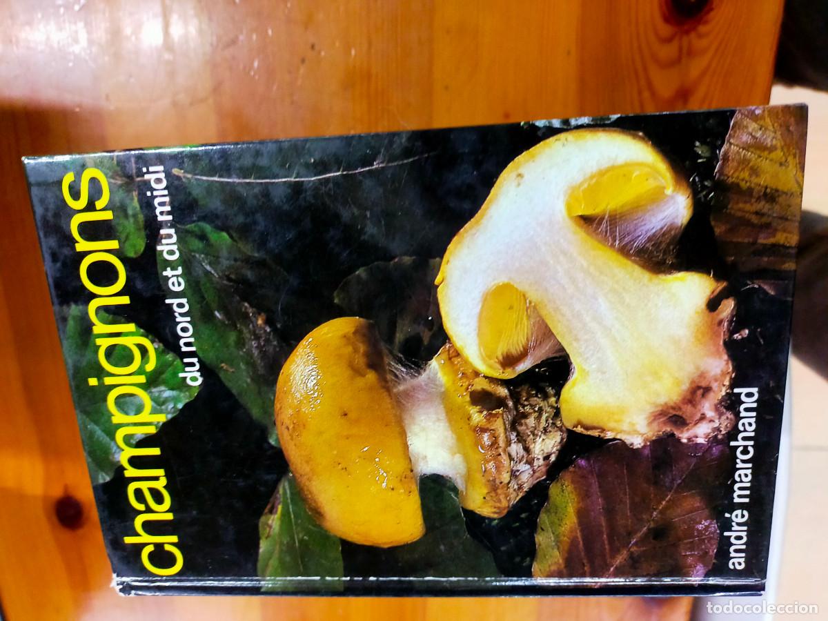 Libros de segunda mano: Champignons - andre marchand - Foto 10