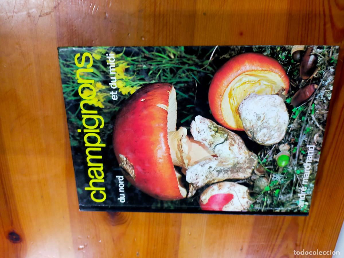 Libros de segunda mano: Champignons - andre marchand - Foto 2