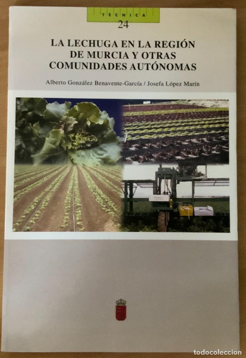 Libri di seconda mano: La lechuga en la Regi&oacute;n de Murcia y otras comunidades aut&oacute;nomas, de Benavente Garc&iacute;a y L&oacute;pez Mar&iacute;n