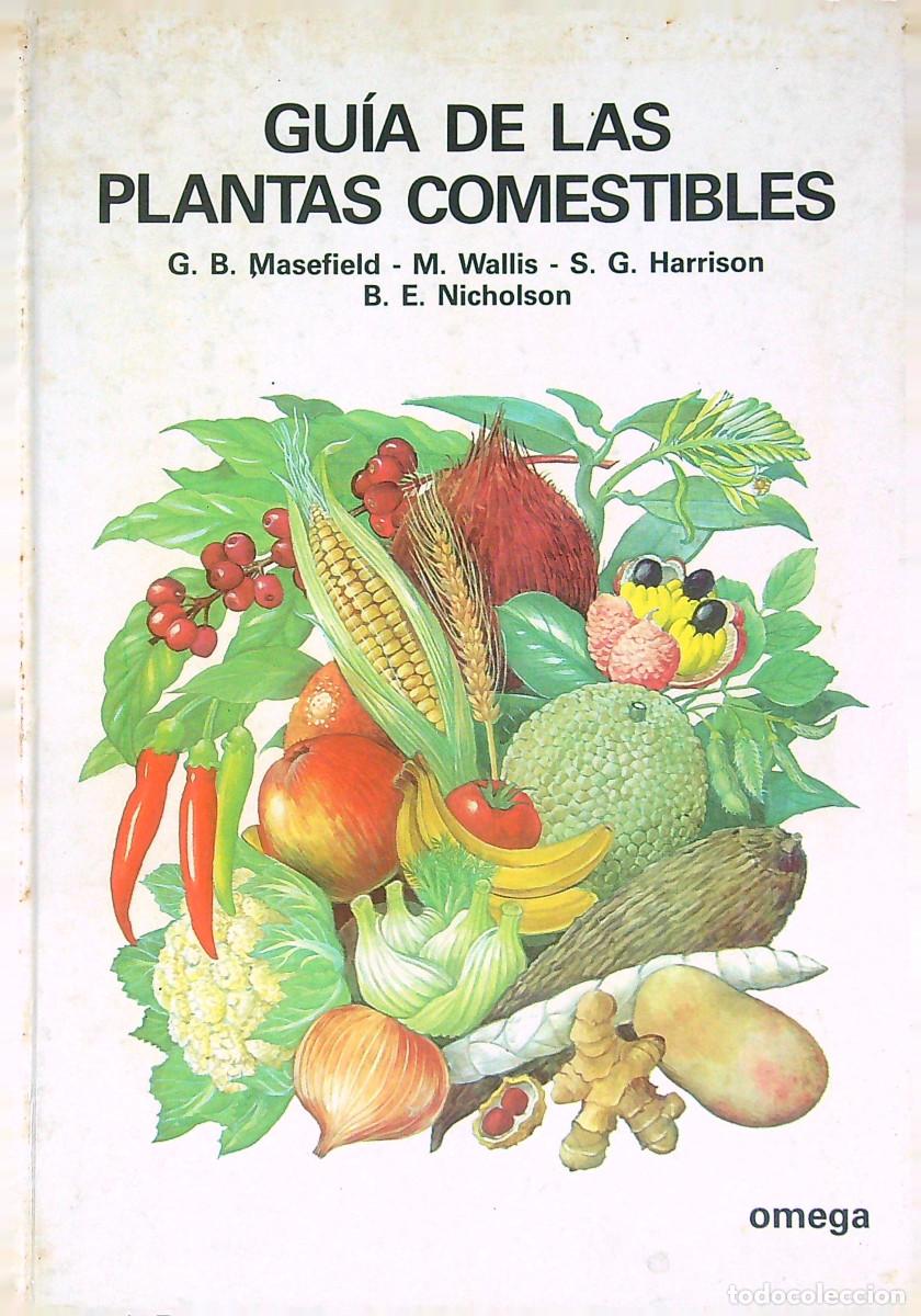 Libri di seconda mano: GU&Iacute;A DE LAS PLANTAS COMESTIBLES - HARRISON/ MASEFIELD/WALLIS - 1980 - BARCELONA
