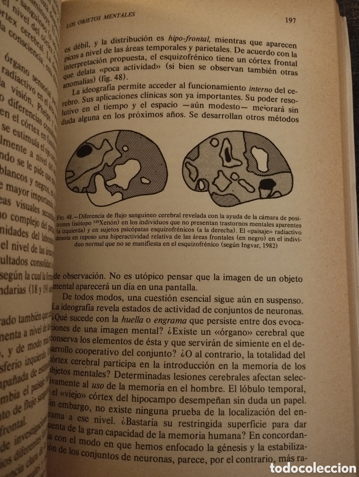 Libros de segunda mano: EL HOMBRE NEURONAL (JEAN-PIERRE CHANGEUX) - Foto 7