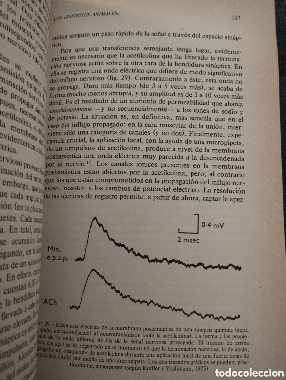 Libros de segunda mano: EL HOMBRE NEURONAL (JEAN-PIERRE CHANGEUX) - Foto 10