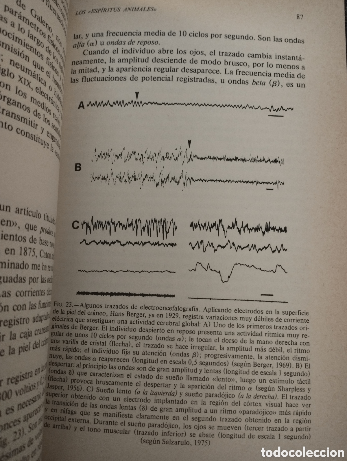 Libros de segunda mano: EL HOMBRE NEURONAL (JEAN-PIERRE CHANGEUX) - Foto 11