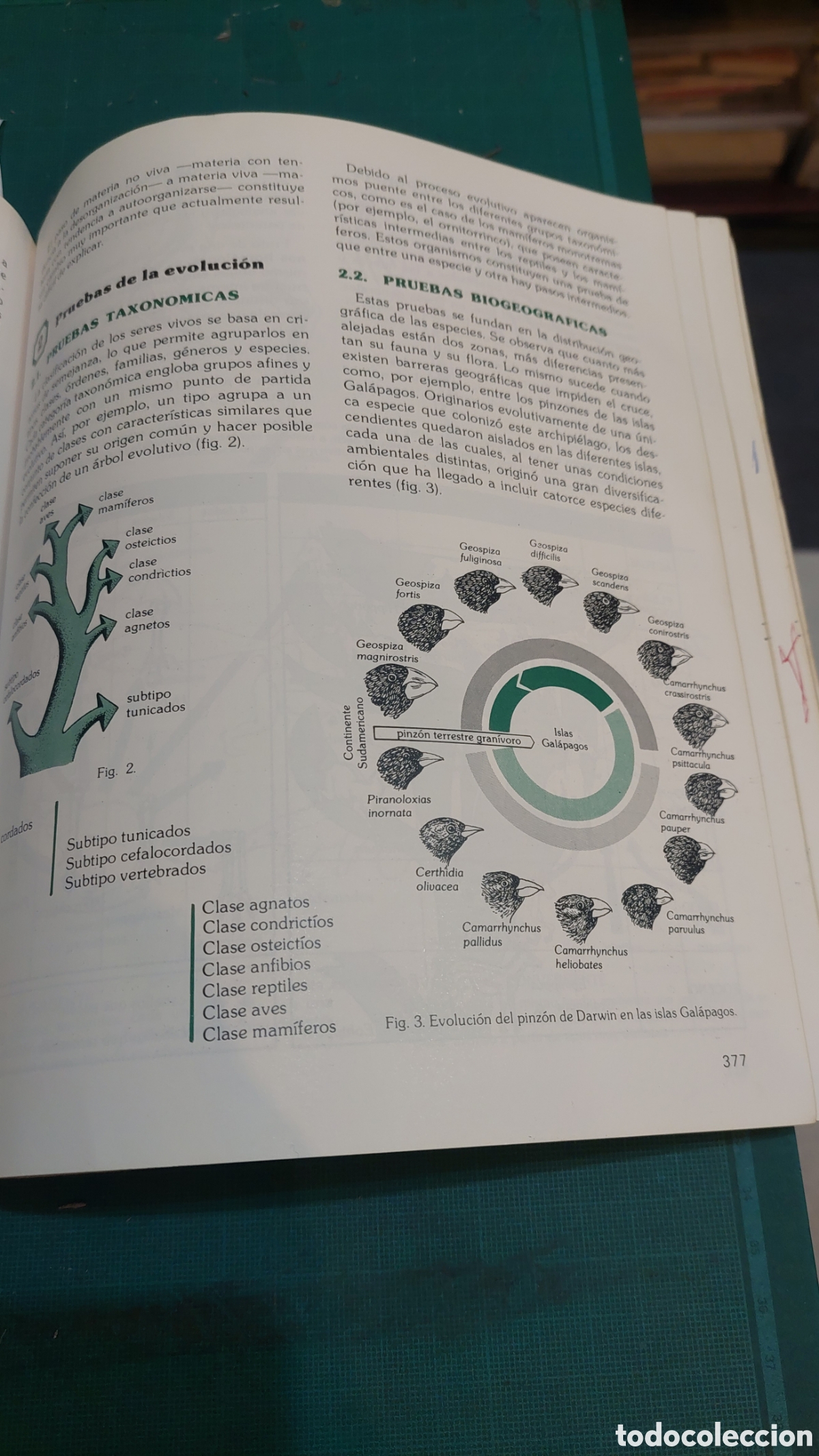 Libros de segunda mano: Cou biolog&iacute;a santillana 1983 - Foto 4