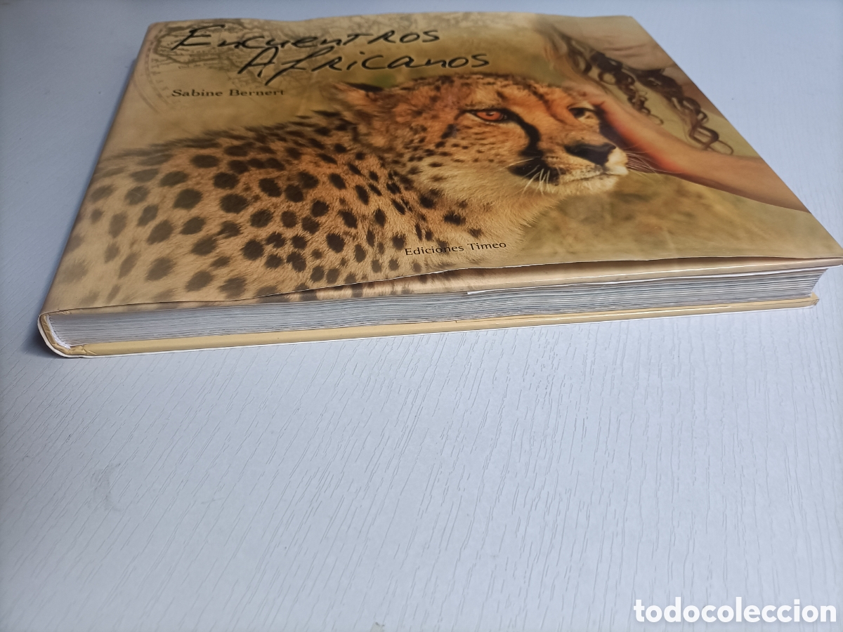 Libros de segunda mano: Encuentros africanos Sabine Bernert - Foto 3