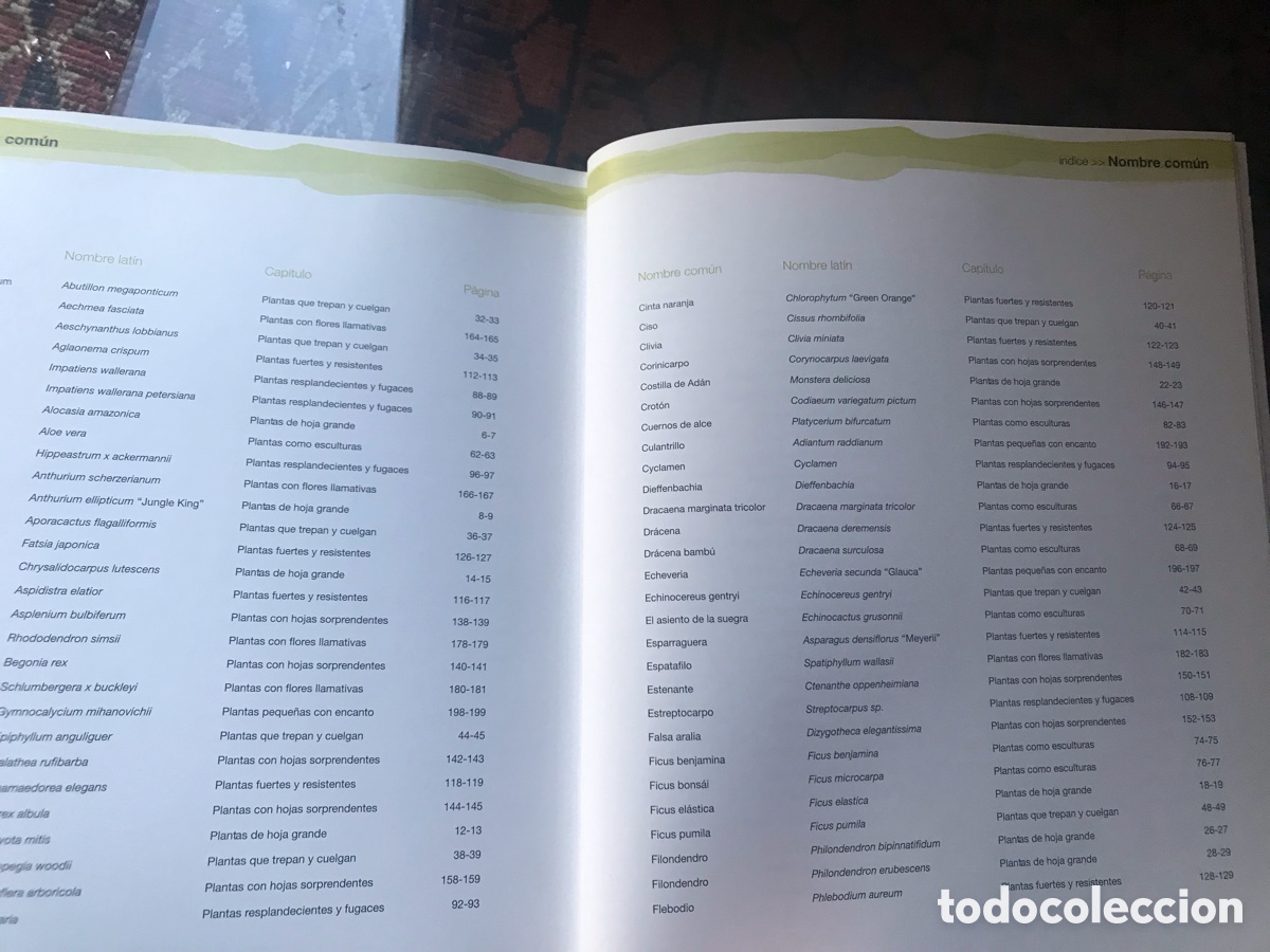 Libros de segunda mano: C&oacute;mo cuidar las plantas de interior. I&ntilde;igo Segurola - Foto 4