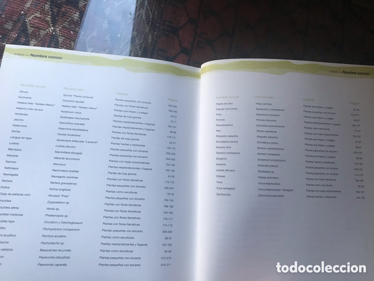 Libros de segunda mano: C&oacute;mo cuidar las plantas de interior. I&ntilde;igo Segurola - Foto 5