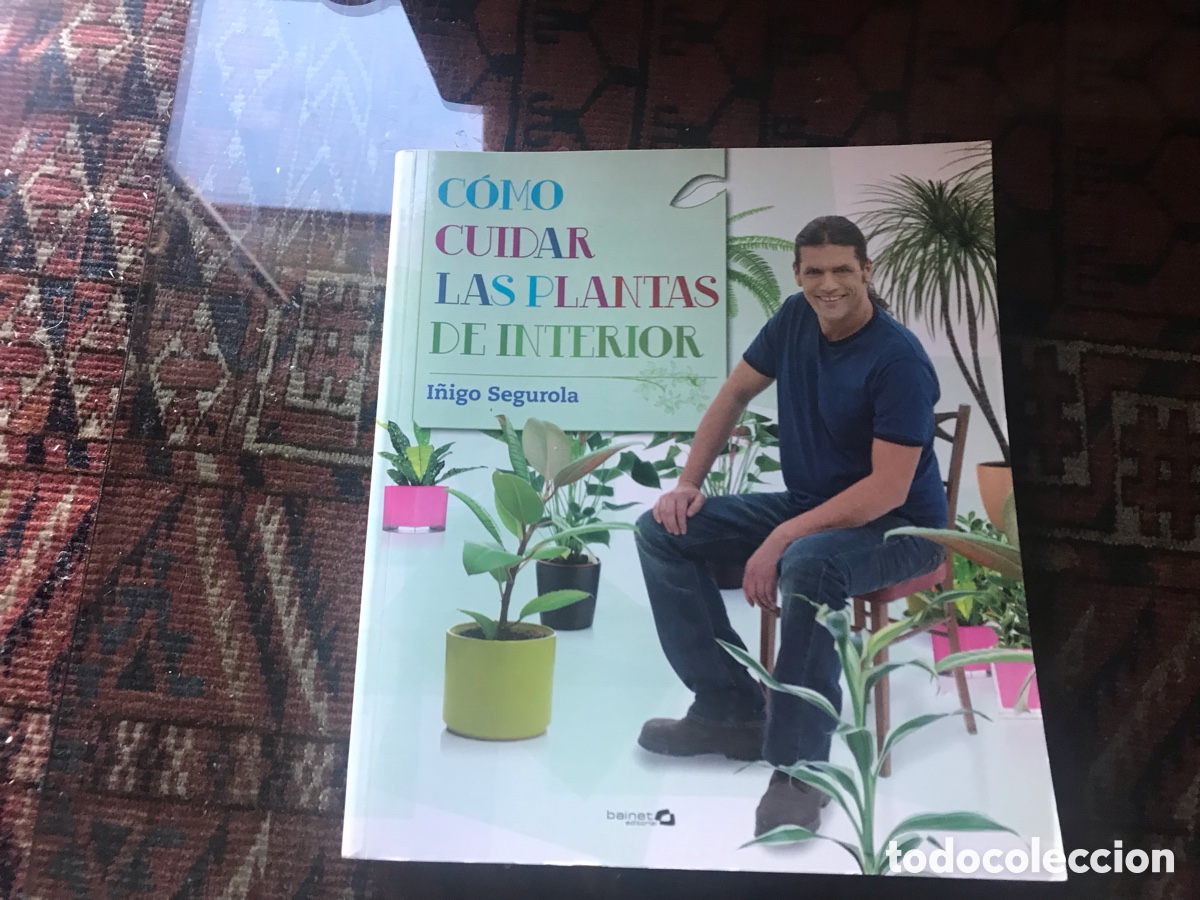 Libros de segunda mano: C&oacute;mo cuidar las plantas de interior. I&ntilde;igo Segurola - Foto 1