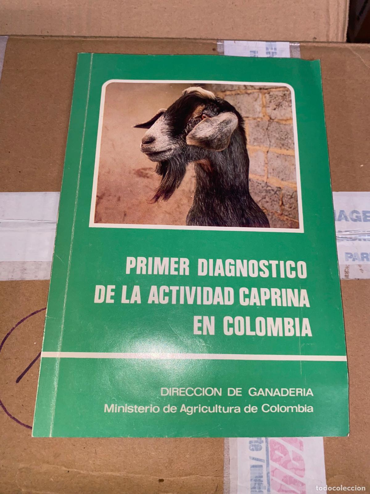 Libros de segunda mano: Primer diagn&oacute;stico de la actividad caprina en Colombia - Foto 1