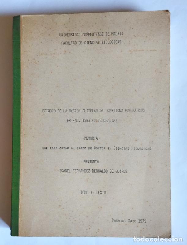 Libros de segunda mano: ESTUDIO DE LA REGION CLITELAR DE LUMBRICUS PAPILLOSUS - ISABEL FERNANDEZ BERNALDO DE QUIROS - TESIS