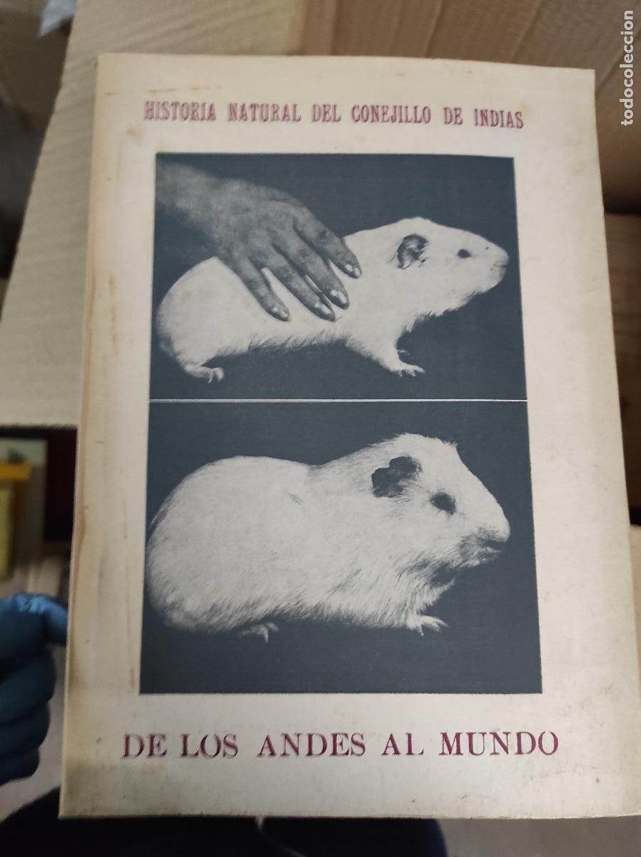 Libros de segunda mano: Historia natural del conejillo de indias - De los andes al mundo