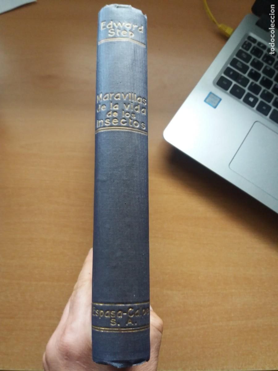 Libros de segunda mano: MARAVILLOSA VIDA DE LOS INSECTOS. EDWARD STEP - Foto 2