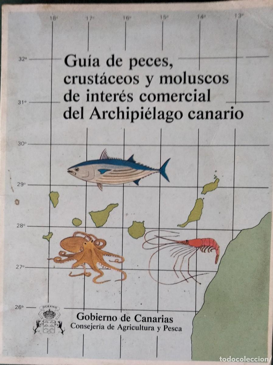 Libros de segunda mano: Guia de peces, crust&aacute;ceos y moluscos de inter&eacute;s comercial del Archipi&eacute;lago canario.1985.