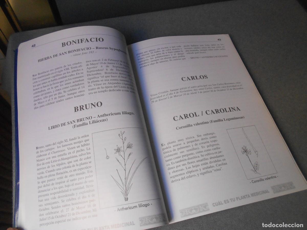 Libros de segunda mano: CUAL ES TU PLANTA MEDICINAL - Foto 3