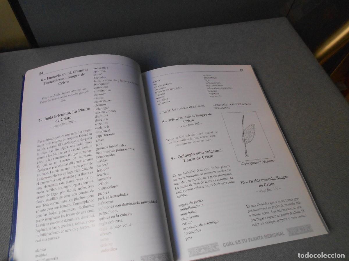 Libros de segunda mano: CUAL ES TU PLANTA MEDICINAL - Foto 4