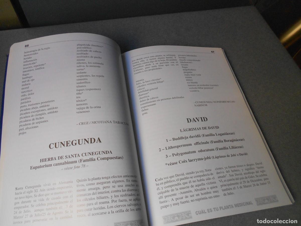 Libros de segunda mano: CUAL ES TU PLANTA MEDICINAL - Foto 5